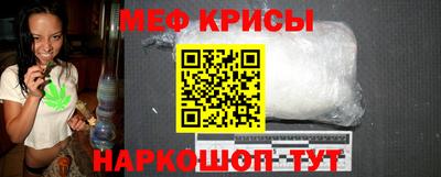 стаф Гай