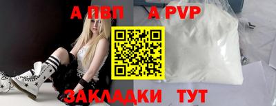 стаф Гай