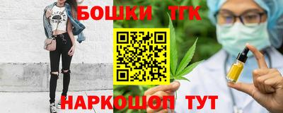 стаф Гай